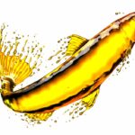 Rybí olej - udržuje zdravé srdce, chrání před rakovinou, zlepšuje činnost mozku a stav pokožky