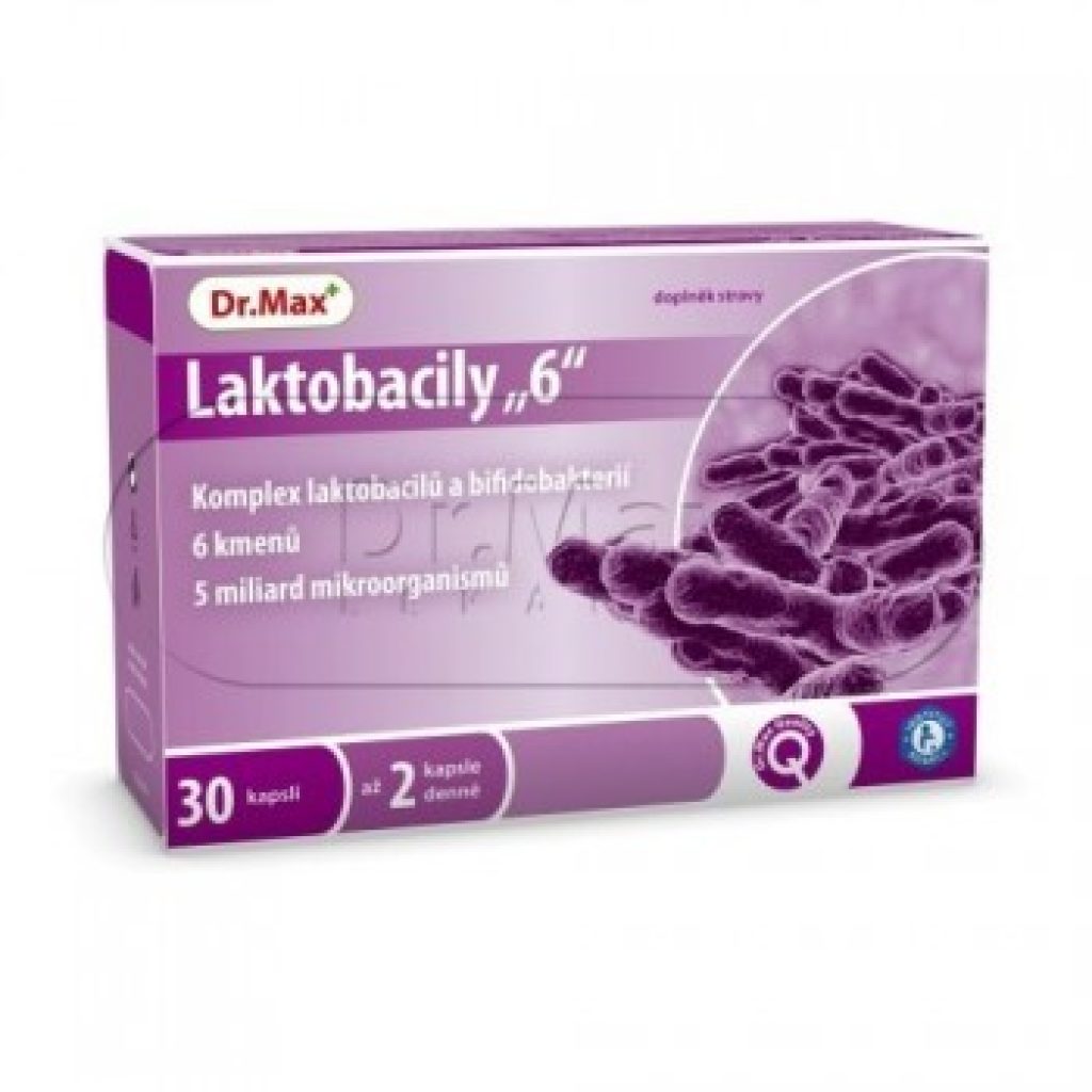 Laktobacily 6