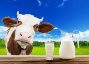 Mléčná dieta - proč je mlíko zdravé