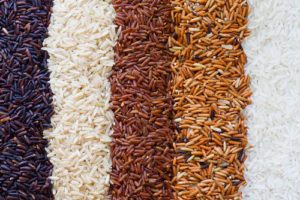 Více druhů rýže