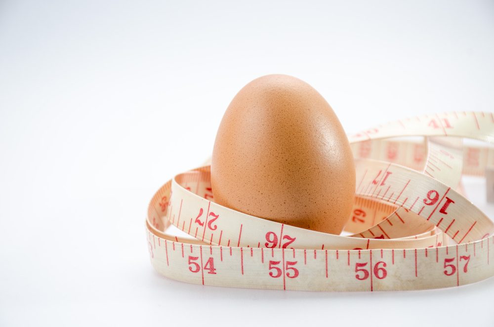 jak funguje vajíčková dieta, je efektivní? + jídelníček na míru